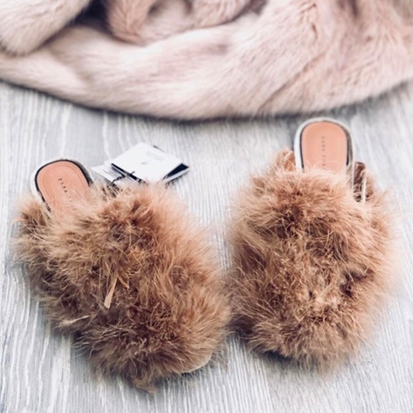 zara feather mules